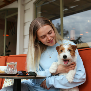 retractable screens for pets